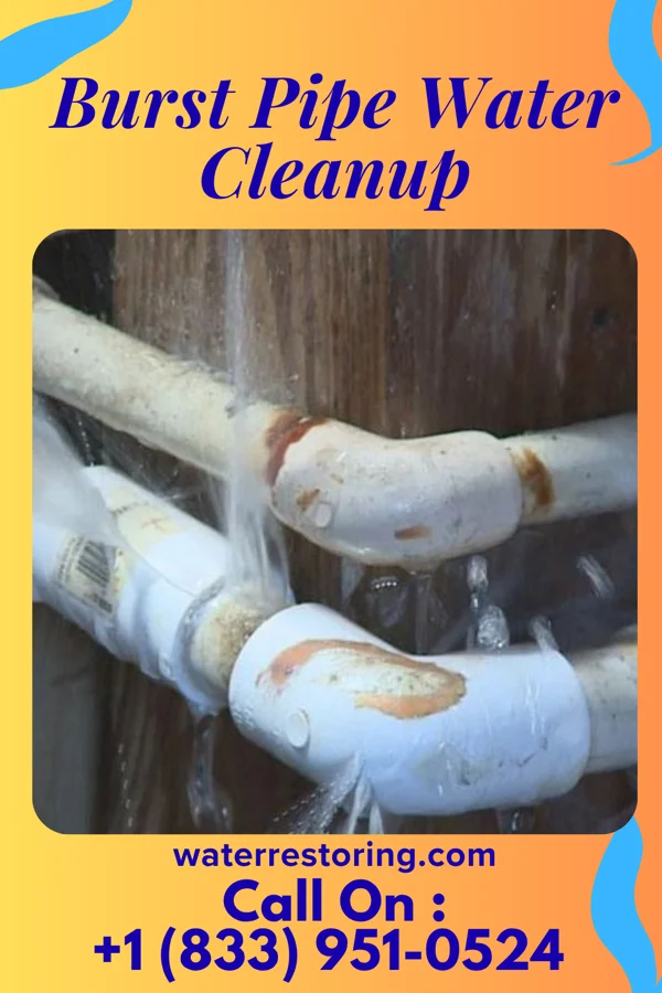 Burst Pipe Water Cleanup in Sandusky, MI