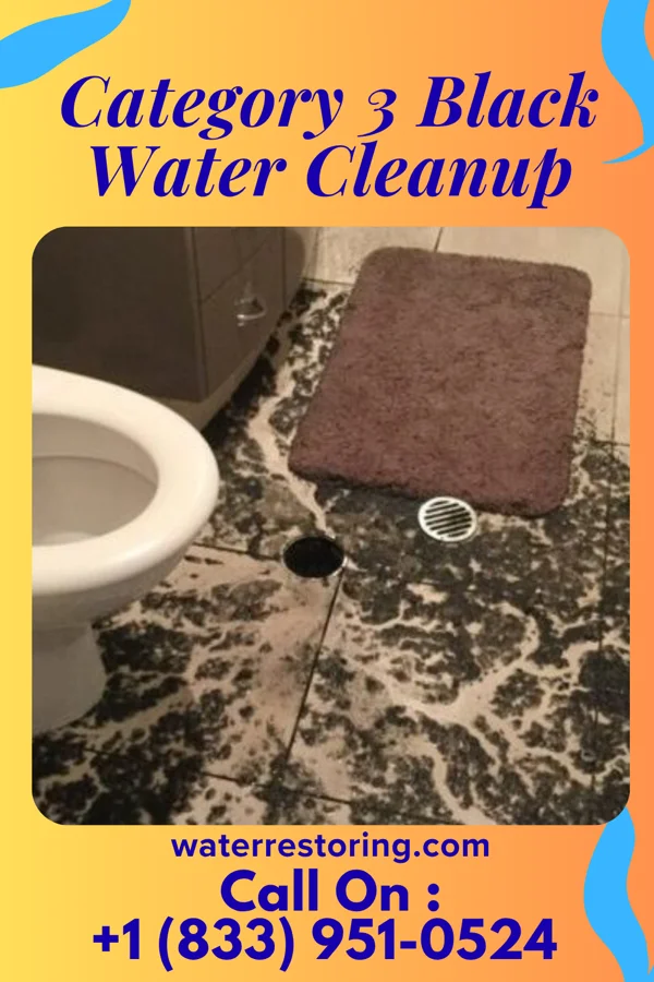Category 3 Black Water Cleanup in Sandusky, MI