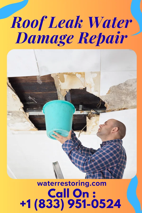 Roof Leak Water Damage Repair in Sandusky, MI