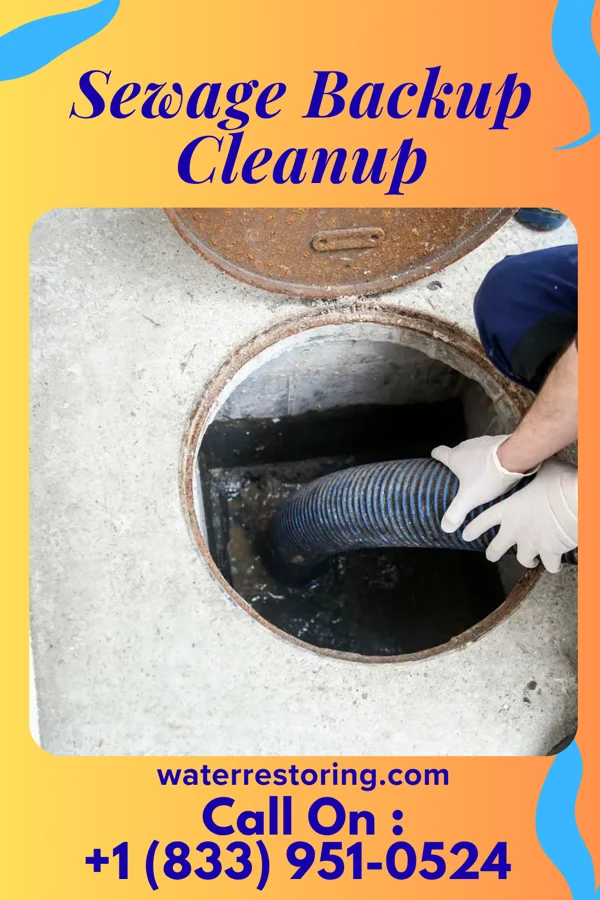 Sewage Backup Cleanup in Sandusky, MI
