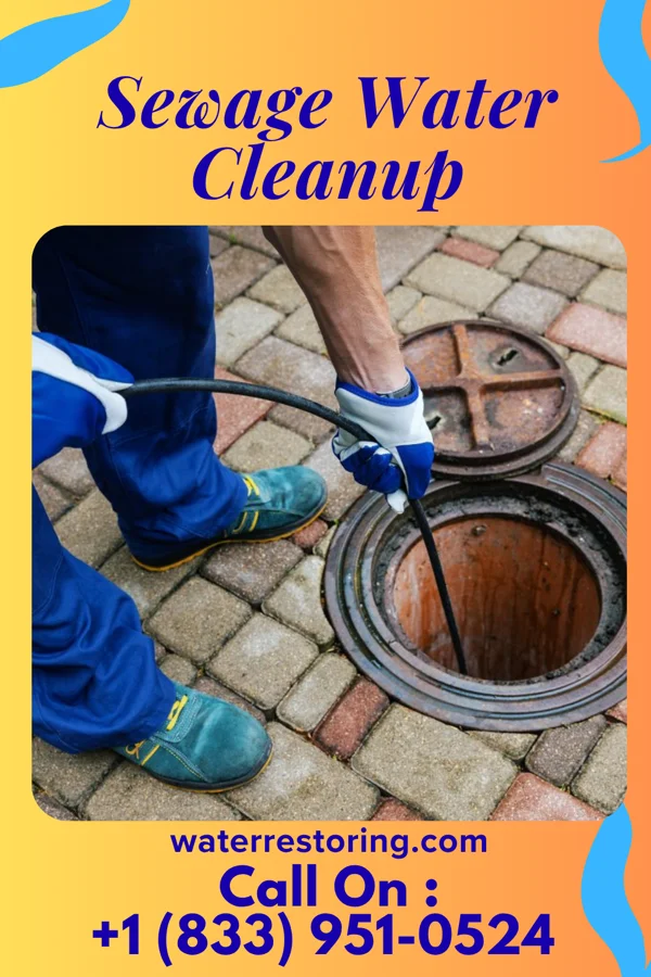 Sewage Water Cleanup in Sandusky, MI